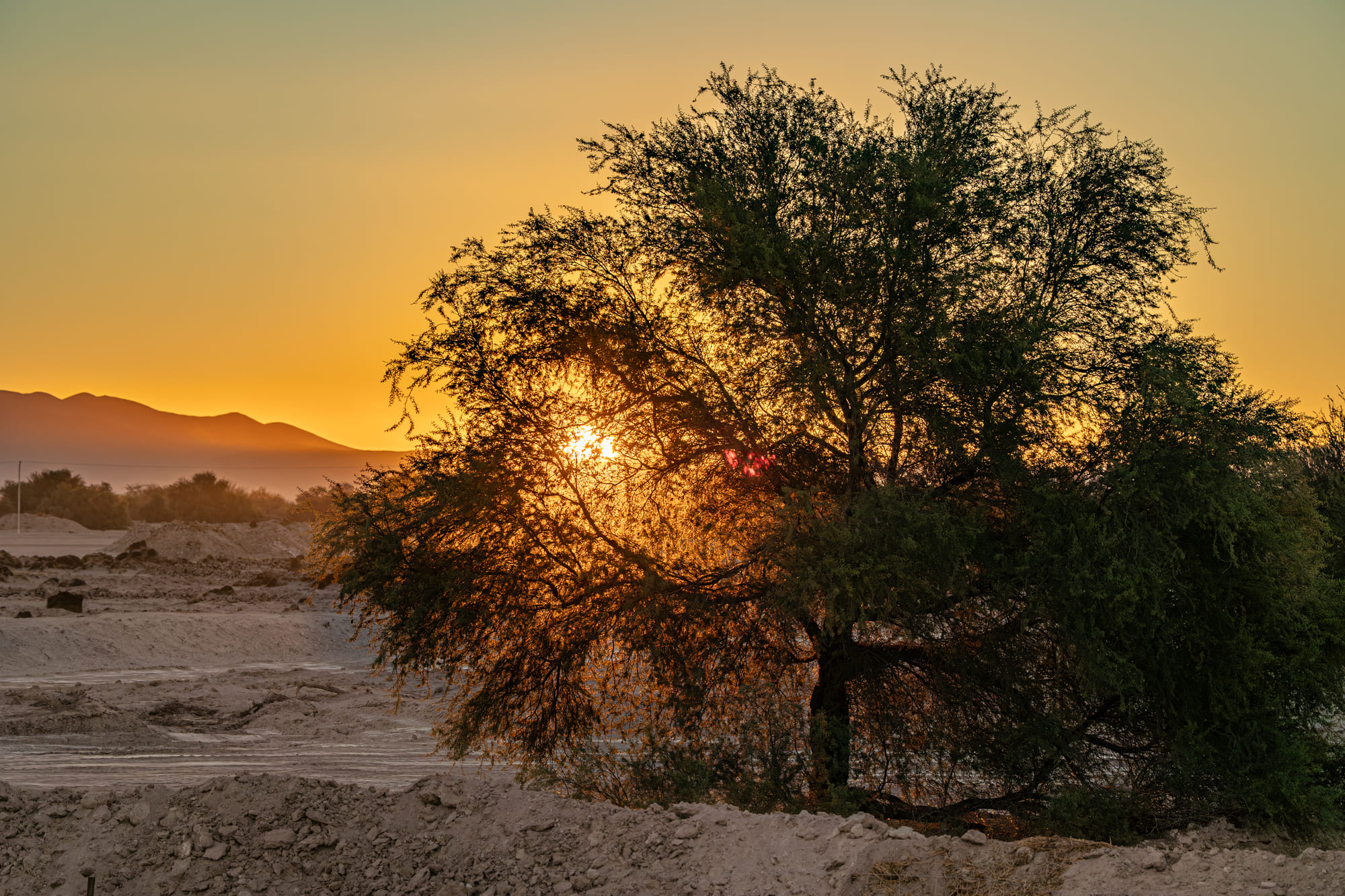 _09A4719-Verbessert-RR