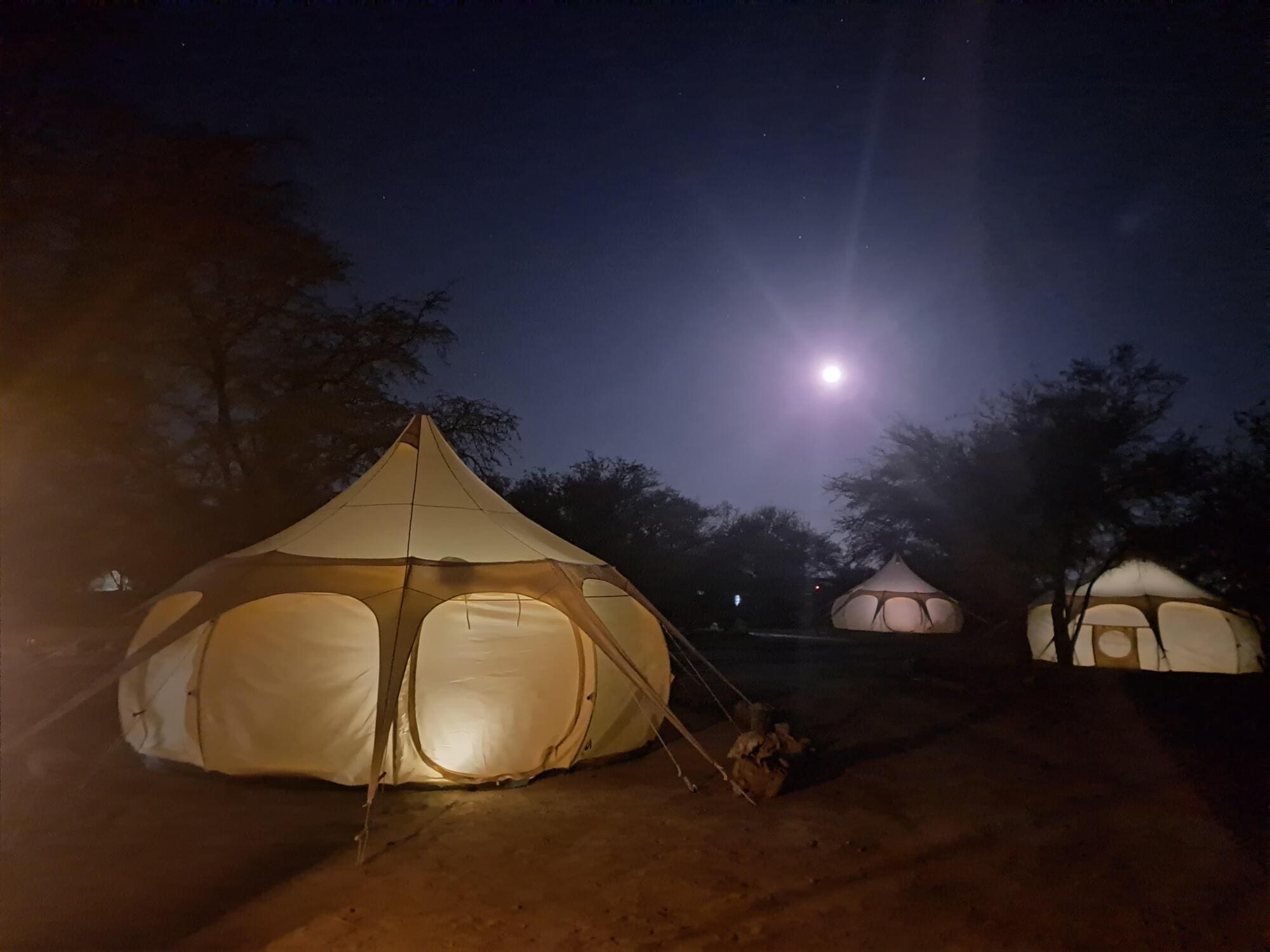 0f8223d9-f15c-416e-8033-89af4c7c0966