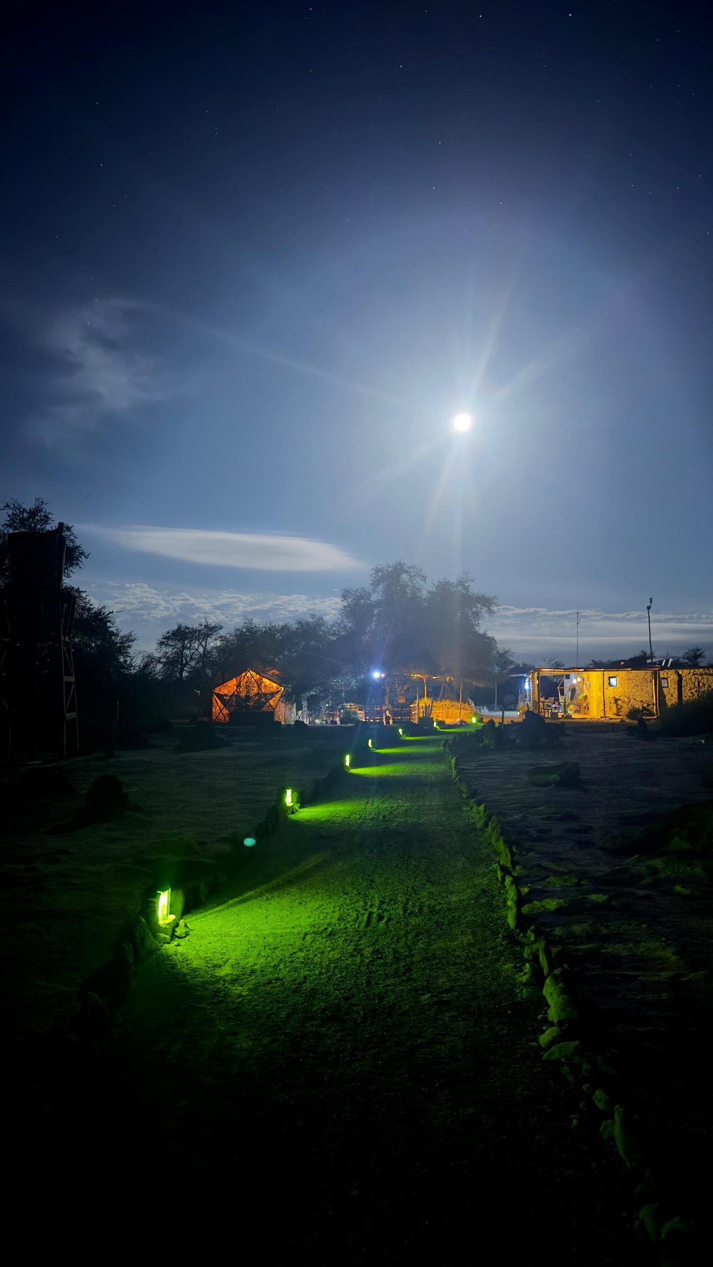 4dec1972-8ce1-4645-8e17-6b34a688bfaa