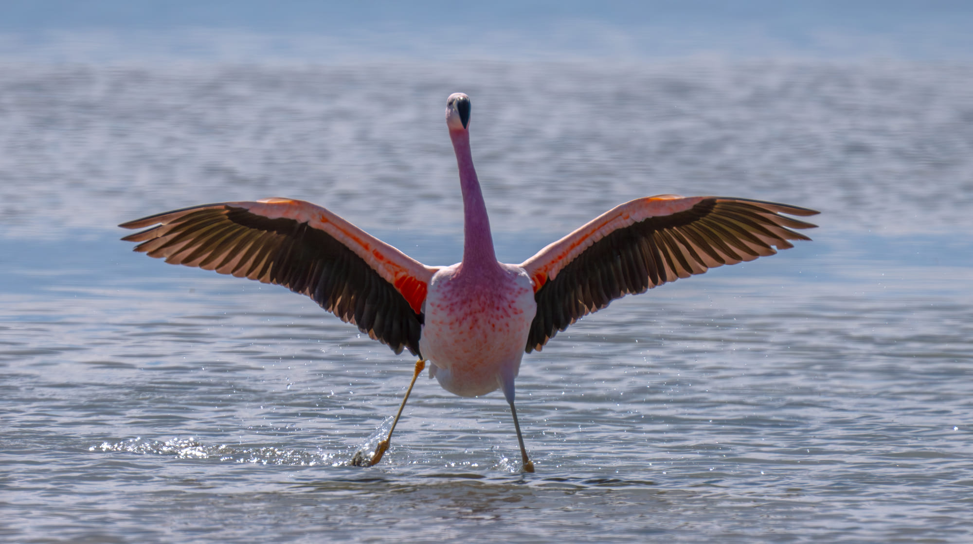 _7R48140-Enhanced-NR