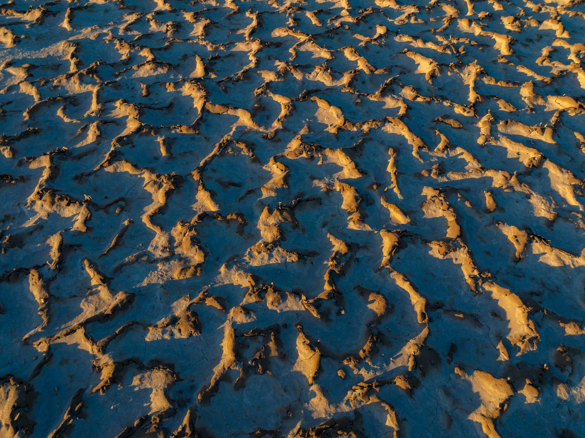 DJI_20240505082104_0005_D