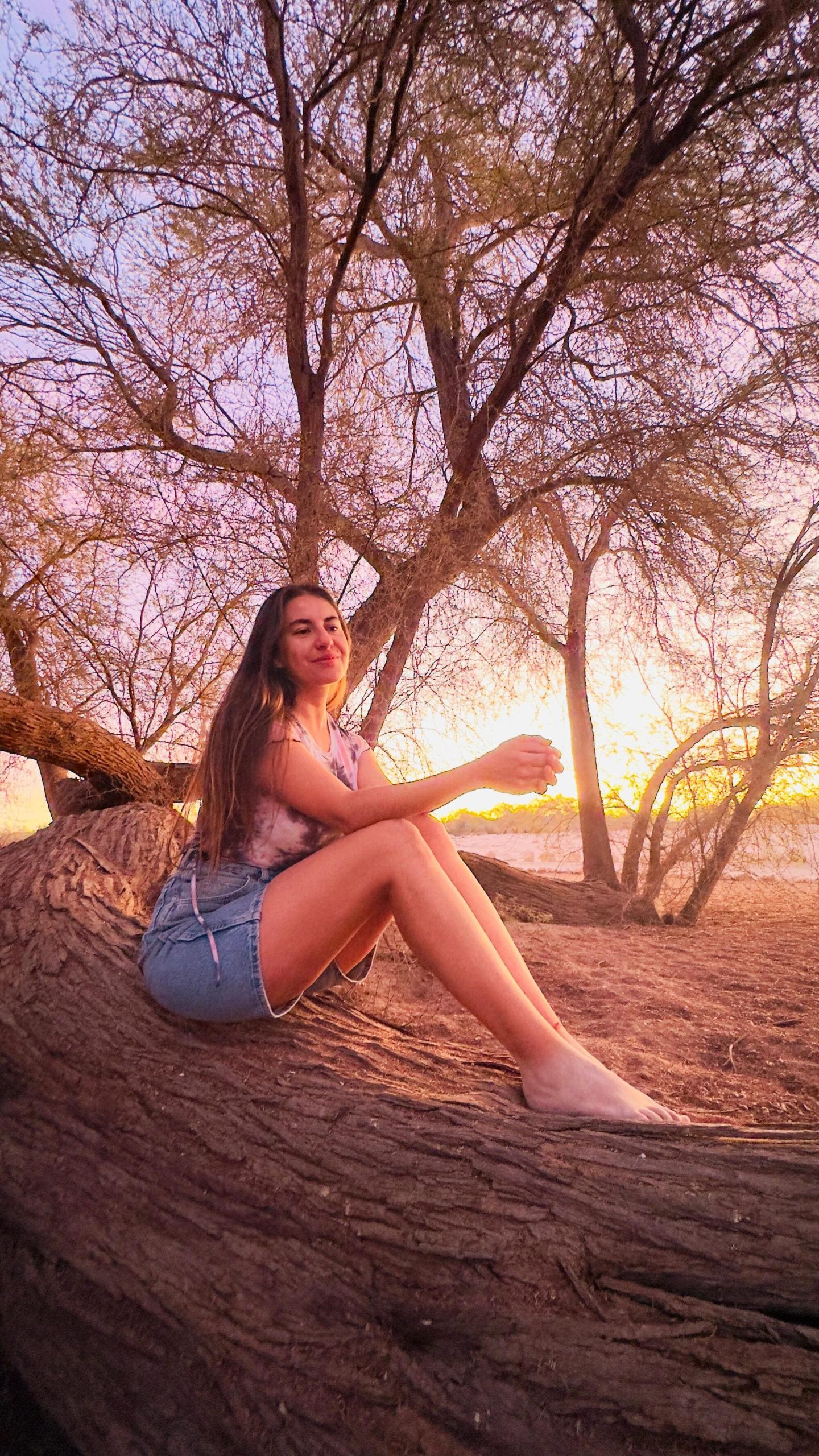 ce811cab-c198-4bb1-bee3-e69e9cf6ac9e 2